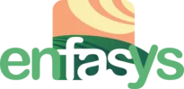 Enfasys Project