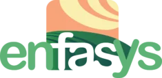 Enfasys Project